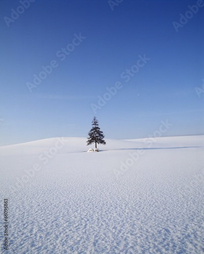 Foto 계절풍경