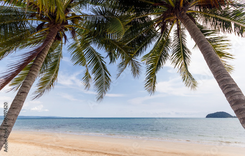 Fototapeta Naklejka Na Ścianę i Meble -  Beach coconut palm trees