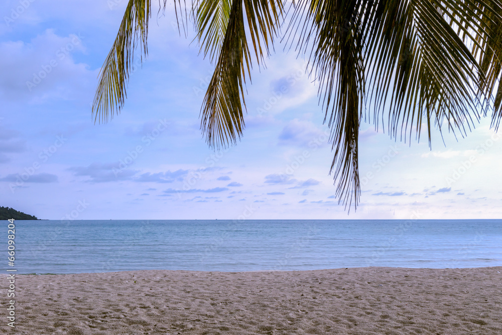 Sand Beach with Coconut tree