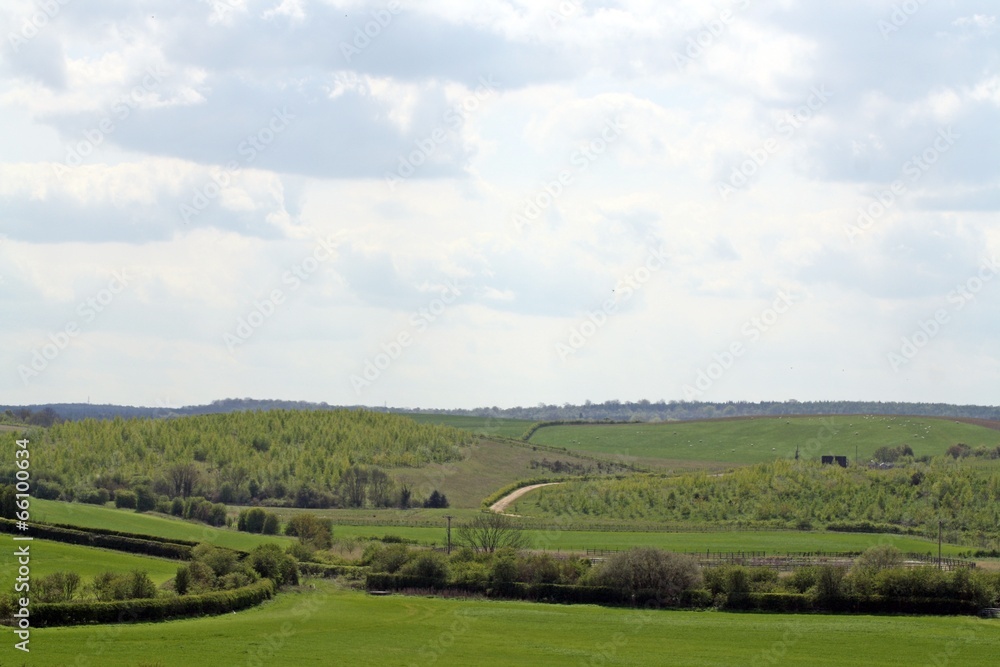 Naklejka premium countryside