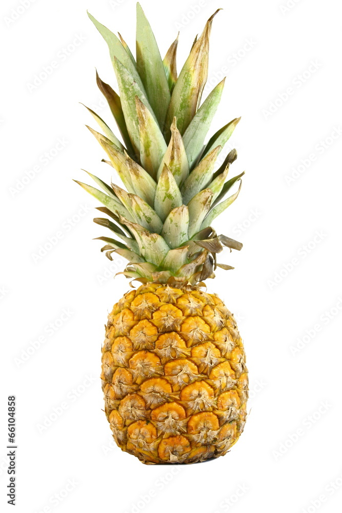 ananas ananas