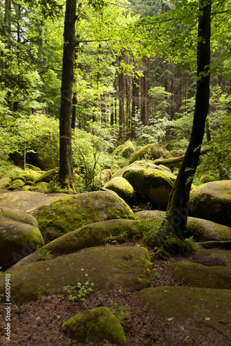 Nature Reserve Doost photo