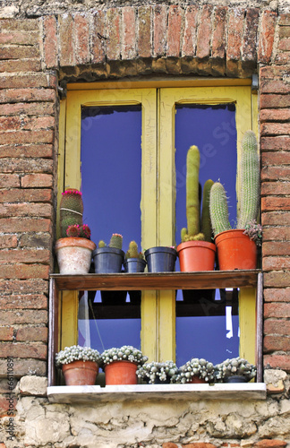 Finestra di casa a Paestum, Campania photo