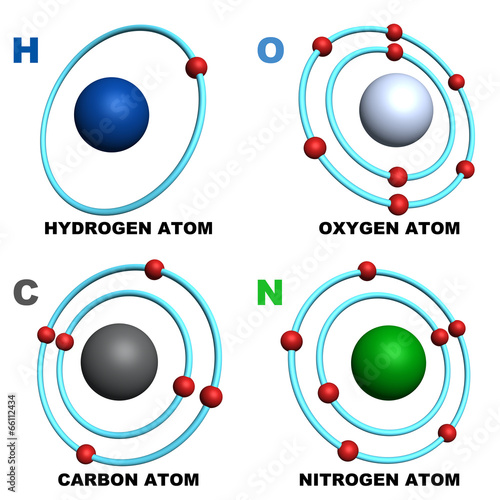 hydrogen oxygen carbon nitrogen atom