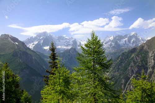 Il Monte Bianco dal Colle San Carlo - Valle d'Aosta