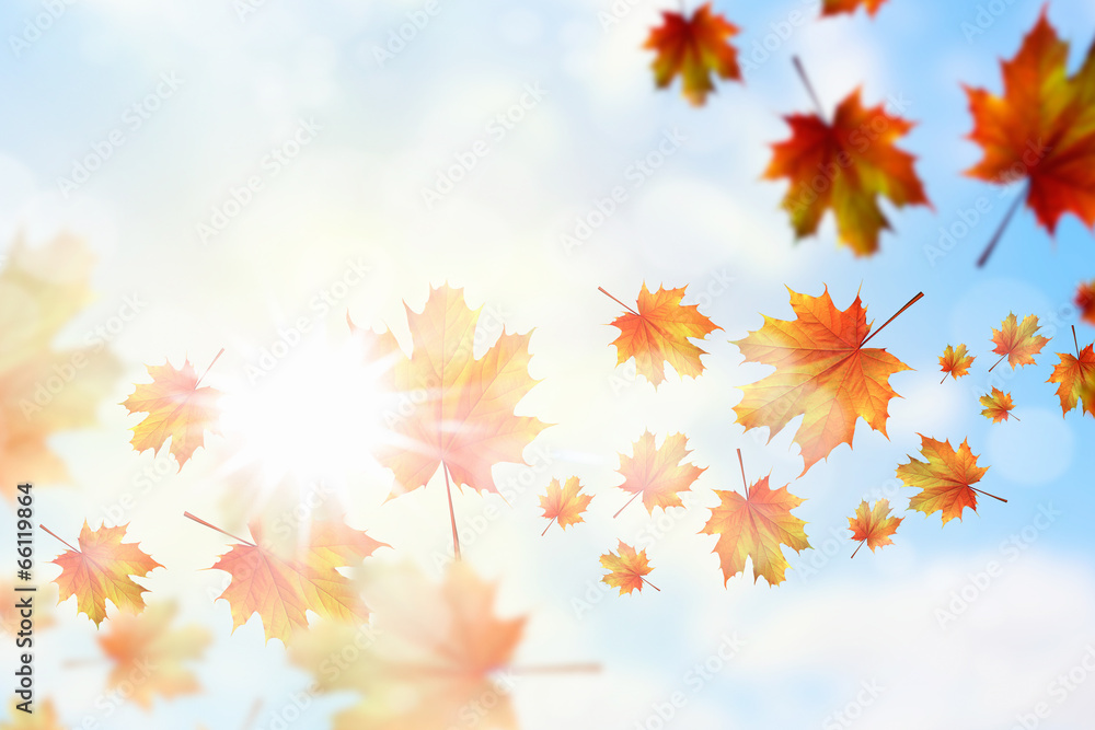 Autumn background Autumn background