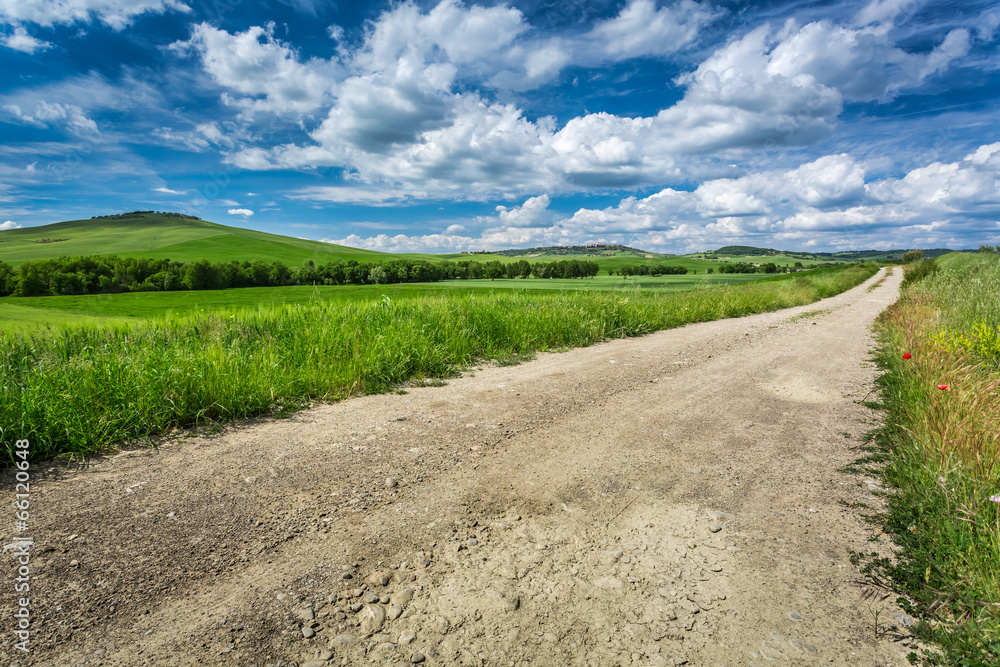 Dirt road between green fields