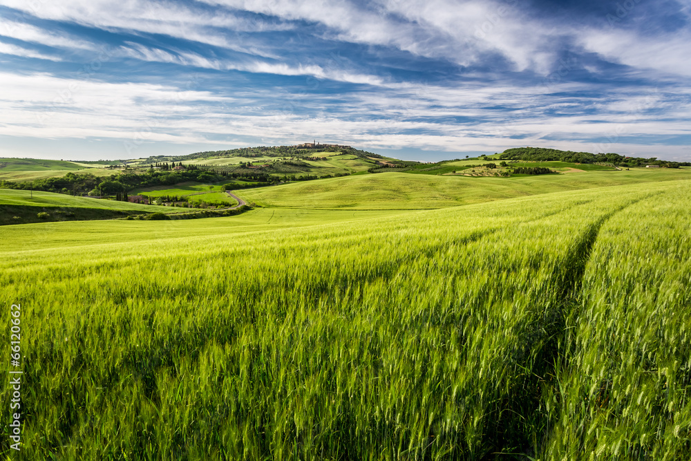 Green field and blue sky in Tuscany