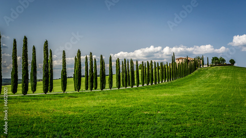 Road with Cypresses to agritourism in Tuscany