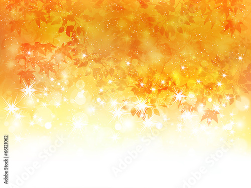 もみじ　紅葉　背景