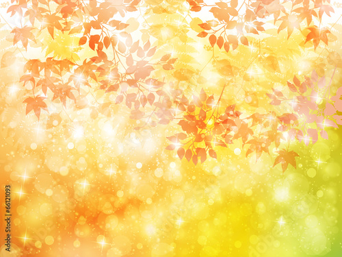 もみじ　紅葉　背景
