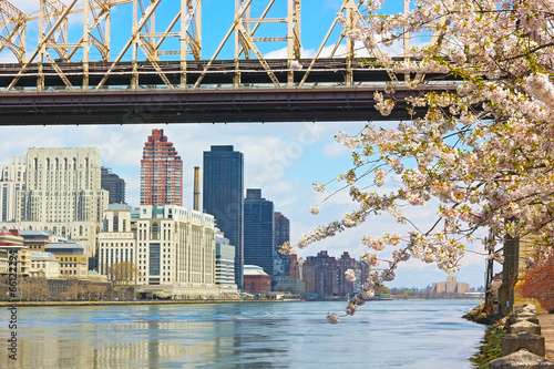 East River  Manhattan and Queensborough Bridge in spring