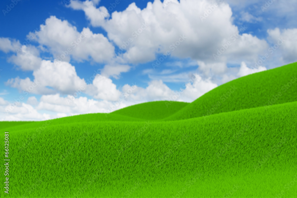 Fototapeta premium Green field and blue sky in countryside