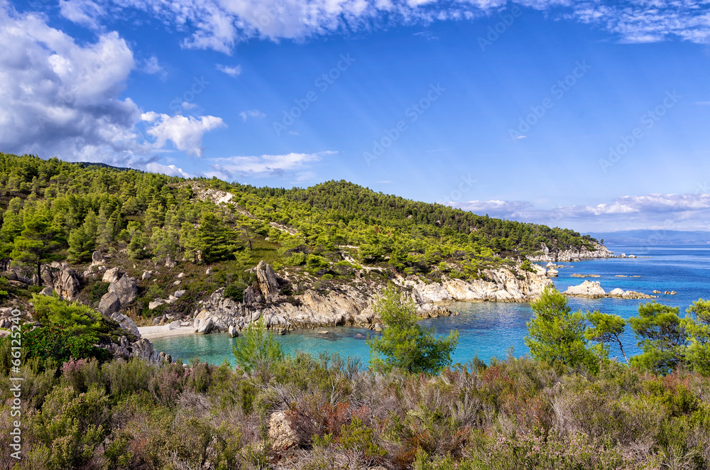 Forest and amazing sea, in Sithonia, Chalkidiki, Greece