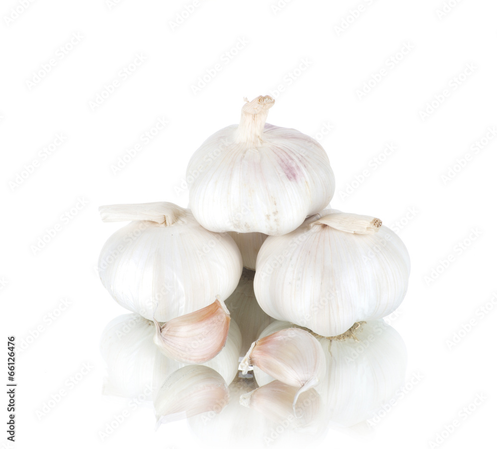 garlic garlic