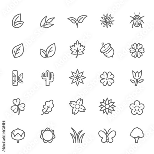 Set of Outline Stroke Natural Icons