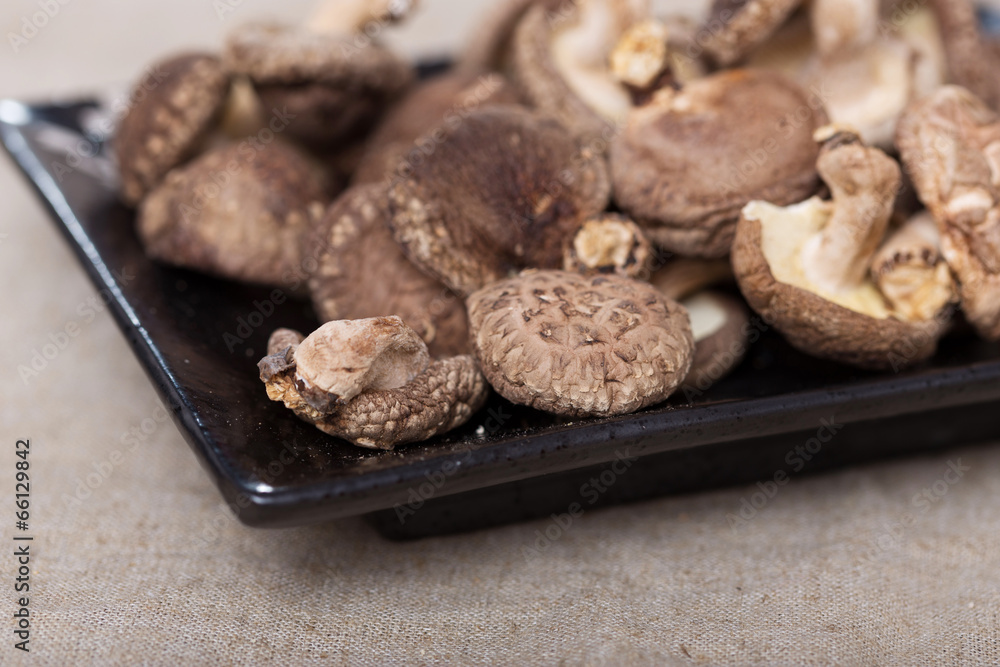 Fototapeta premium Shiitake Mushrooms