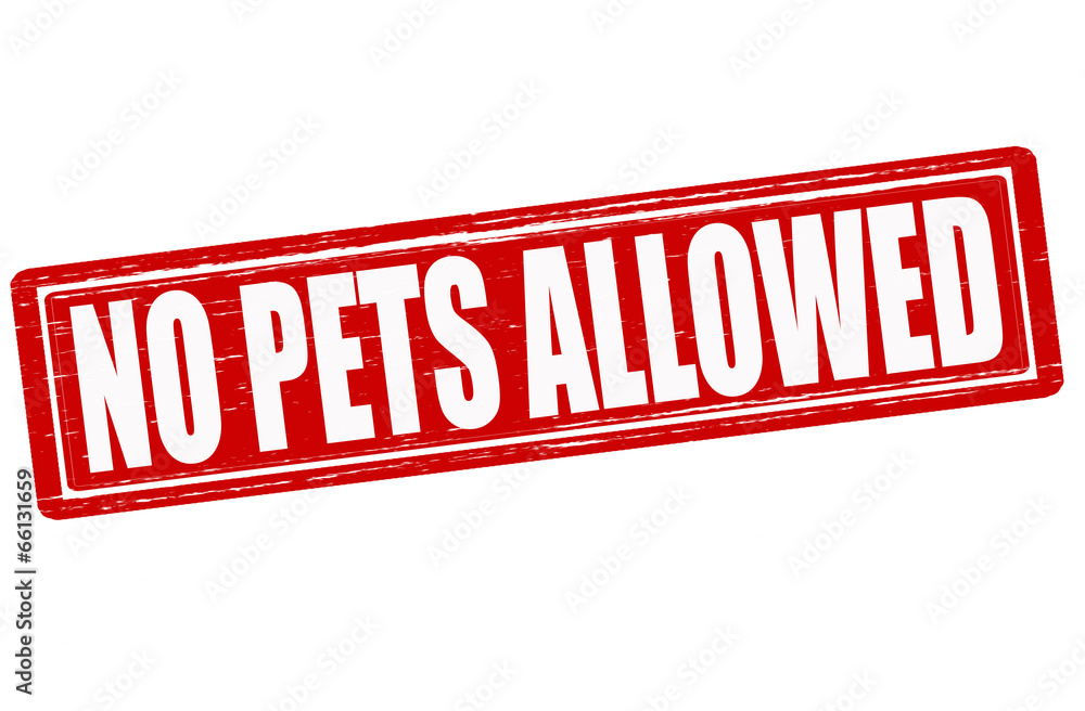 No pets allowed