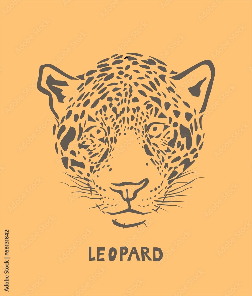 Fototapeta premium Vector leopard head