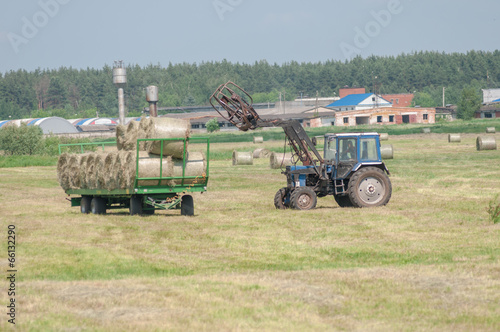 Mechanized harvesting of grass on the flood-plain meadow