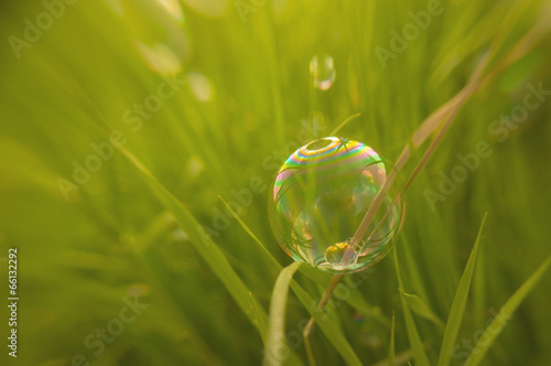 Natural background bubble lies on grass