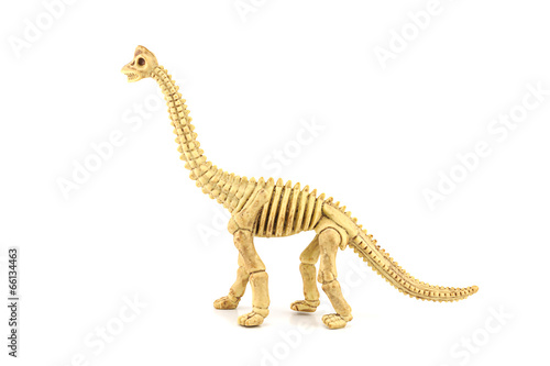 Apatosaurus fossil  skeleton toy isolated on white.