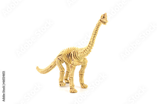 Apatosaurus fossil skeleton toy isolated on white. © nicescene