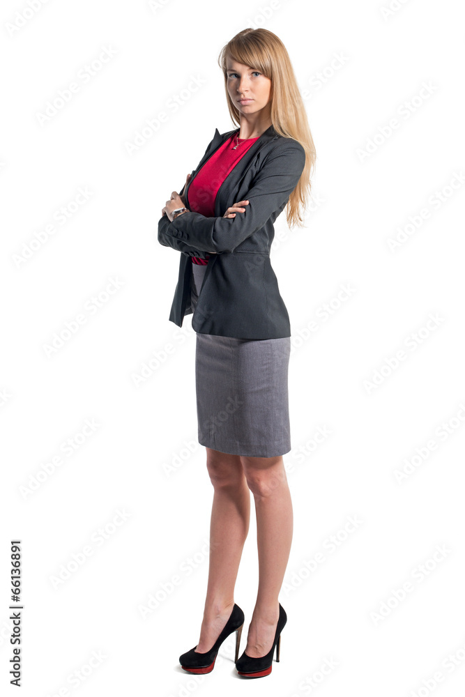 Portrait of serious young business woman gray skirt red shirt Portrait of serious young business woman gray skirt red shirt