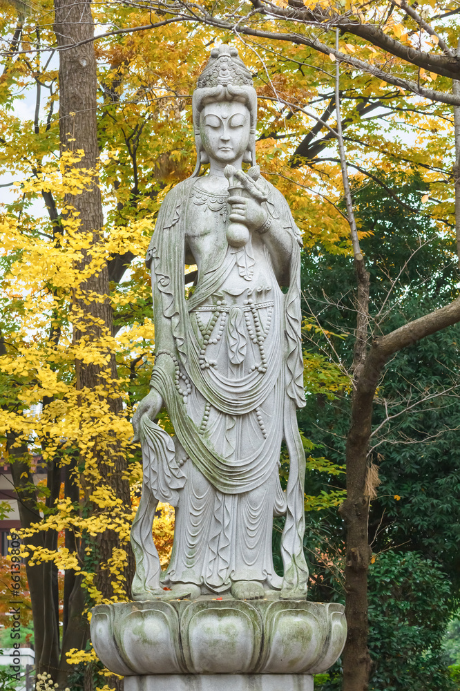 The Goddess of mercy at Zojoji Temple in Kyoto The Goddess of mercy at Zojoji Temple in Kyoto