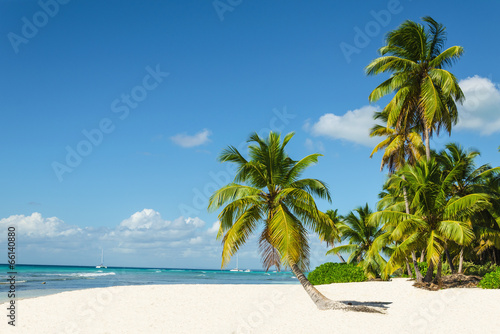 Beautiful tall palm trees and white sandy beach #66140880