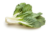 bok choy chinese cabbage