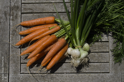 légumes nouveaux