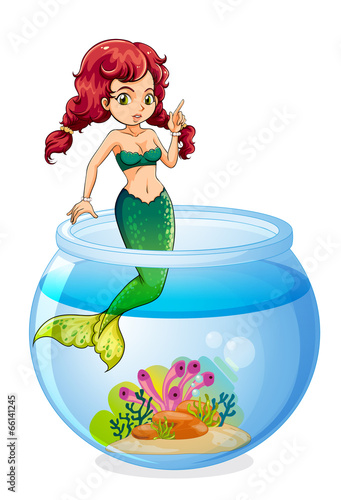 A mermaid inside the aquarium