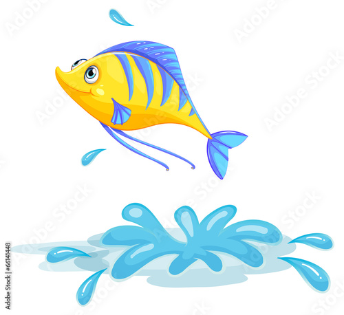 A yellow fish