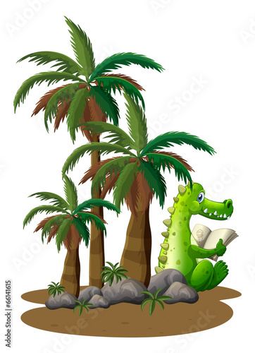 A crocodile reading near the coconut trees