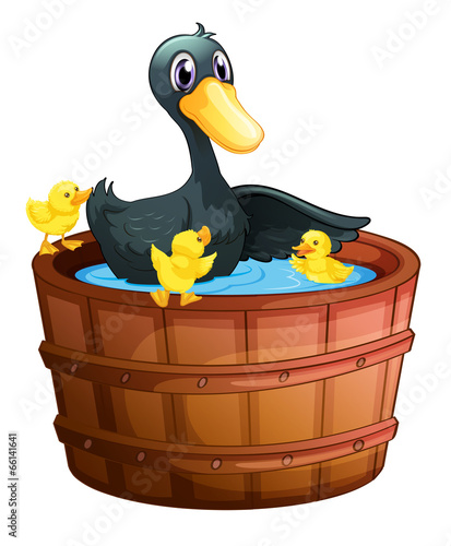 Ducks taking a bath