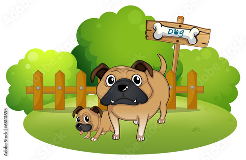 A big and a small dog near the signboard