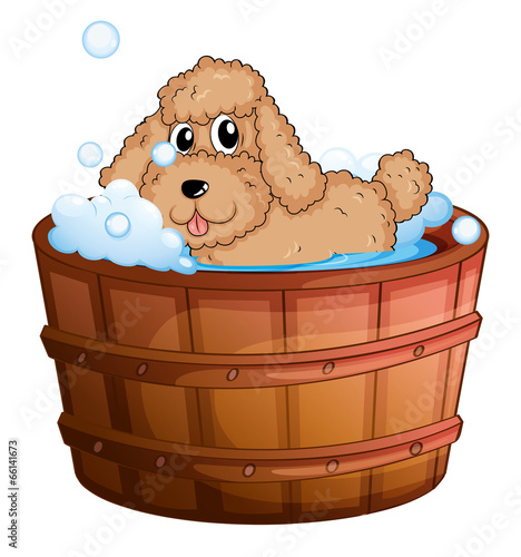 A dog taking a bath