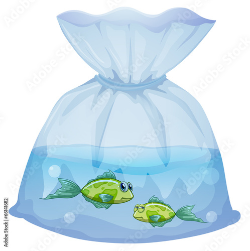 Green fishes inside the plastic pouch