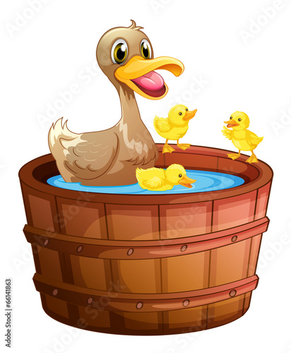 Ducks taking a bath at the bathtub