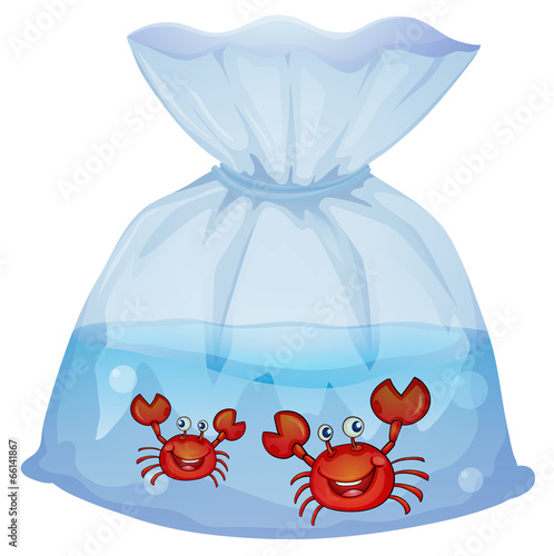Crabs inside the plastic