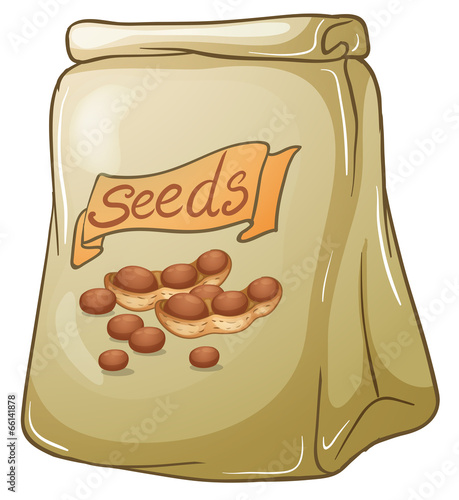 A pack of nut seeds