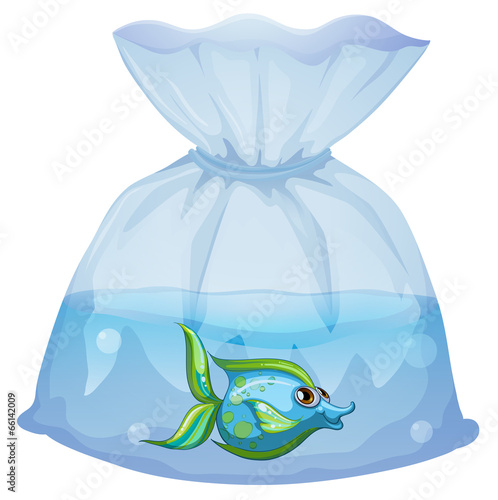 A blue fish inside the plastic pouch