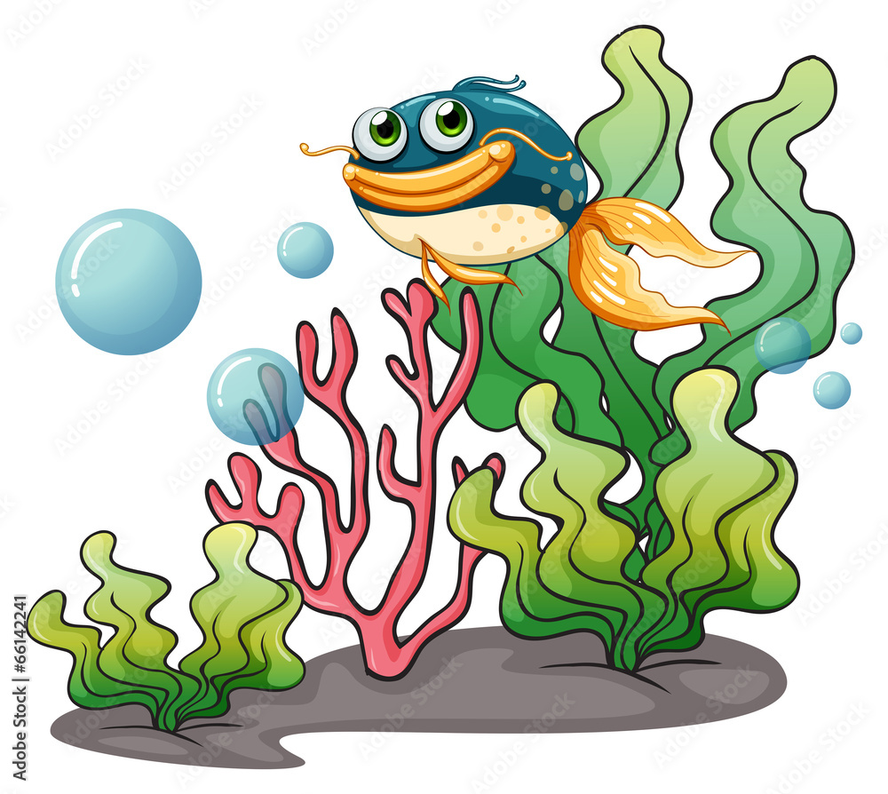 Naklejka premium A fish under the sea