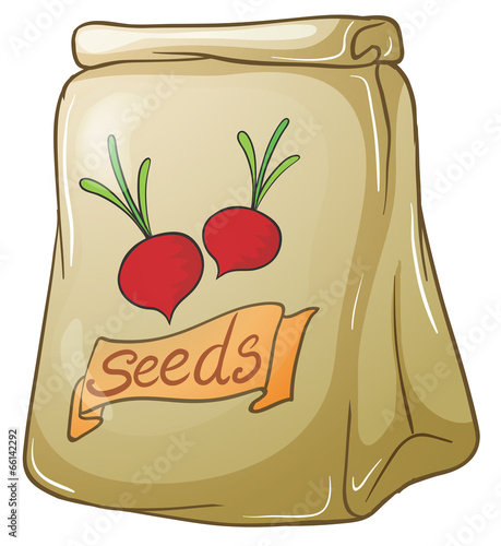 A pack of onion seeds