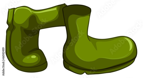 A pair of green shoes