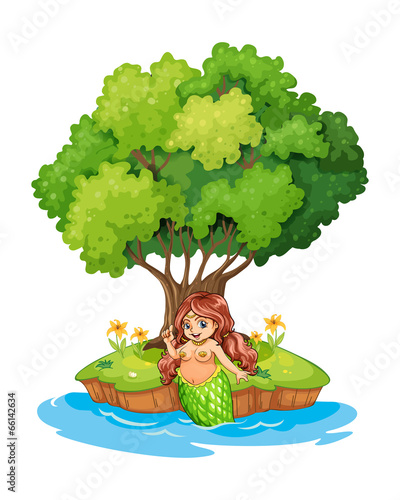 A mermaid resting in the island