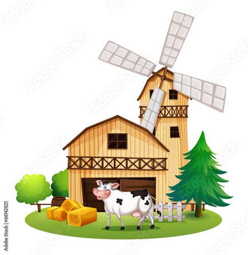 A cow in front of the barnhouse