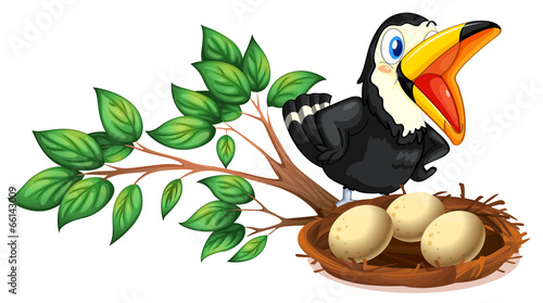 A black bird watching the nest with eggs