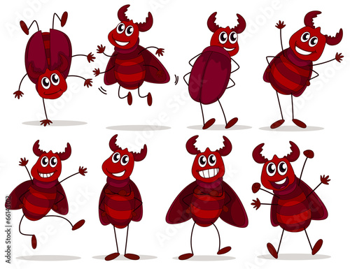 Eight playful bugs